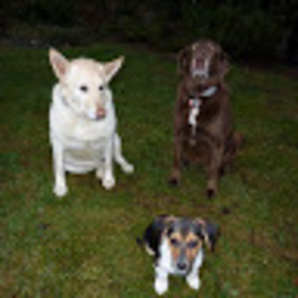 Meet your Posher, M - Picture 1 of 1